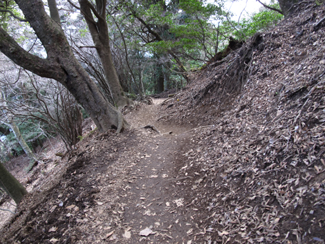 20151228hike (255)